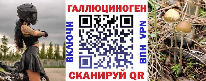 цены наркотик  Райчихинск  Галлюциногенные грибы Magic Shrooms 